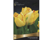 ������� ������.jpg