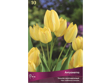 ������� ����������.jpg