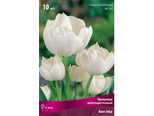 ������� ��� ���.jpg