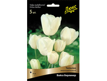 ������� ����� ��������.jpg