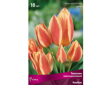 ������� ������.jpg