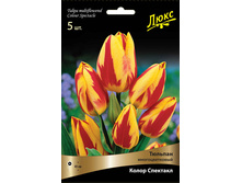 ������� ����� ��������.jpg