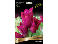 ������� ���� ����.jpg