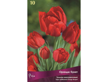 ������� ������ �����.jpg