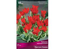 ������� �������� ������.jpg