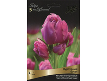 ������� ��������� �����.jpg