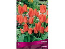 ������� �������.jpg