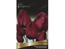 ������� ���������.jpg