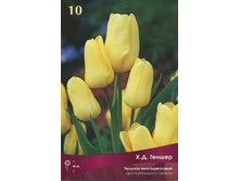 ������� �.�. ������.jpg