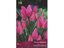 ������� ����� ������.jpg