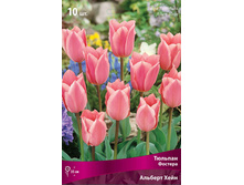 ������� ������� ����.jpg