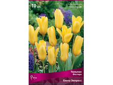 ������� ����� �������.jpg