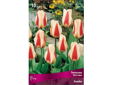 ������� �����.jpg