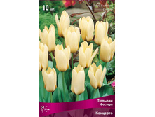 ������� ��������.jpg