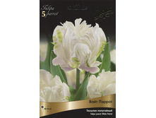 ������� ���� ������.jpg