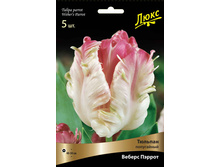 ������� ������ ������.jpg