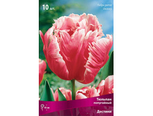 ������� �������.jpg