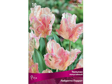 ������� �������� ������.jpg