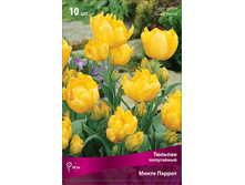 ������� ����� ������.jpg