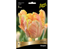 ������� ������.jpg