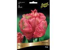 ������� ���.jpg