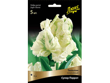 ������� ����� ������.jpg