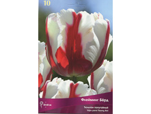 ������� ������� ����.jpg