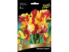 ������� ������� ������.jpg