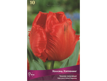 ������� ������� ���������.jpg