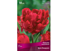 ������� ���� ��������.jpg