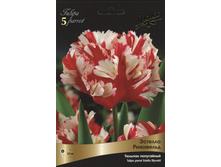 ������� ������� ���������.jpg