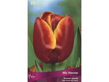 ������� ��� �����.jpg