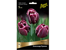 ������� ��������� ������.jpg