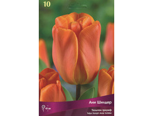 ������� ��� ������.jpg