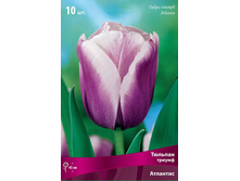 ������� ��������.jpg