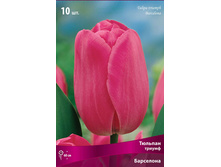 ������� ���������.jpg