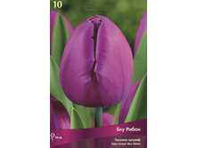 ������� ��� �����.jpg