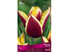 ������� ������.jpg