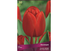 ������� ���������.jpg