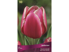 ������� ��������.jpg