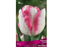 ������� ���� �����.jpg