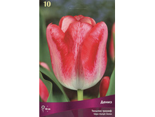 ������� �����.jpg