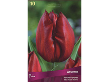 ������� ������.jpg