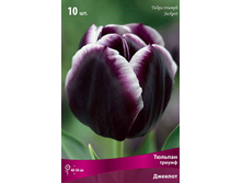 ������� �������.jpg