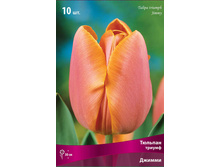 ������� ������.jpg