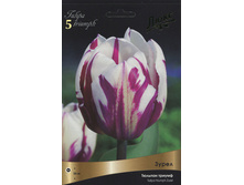 ������� �����.jpg