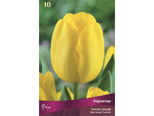 ������� ��������.jpg