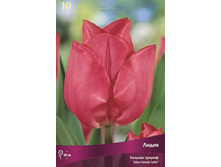 ������� �����.jpg