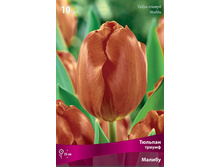 ������� ������.jpg