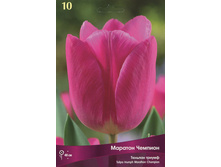 ������� ������� �������.jpg